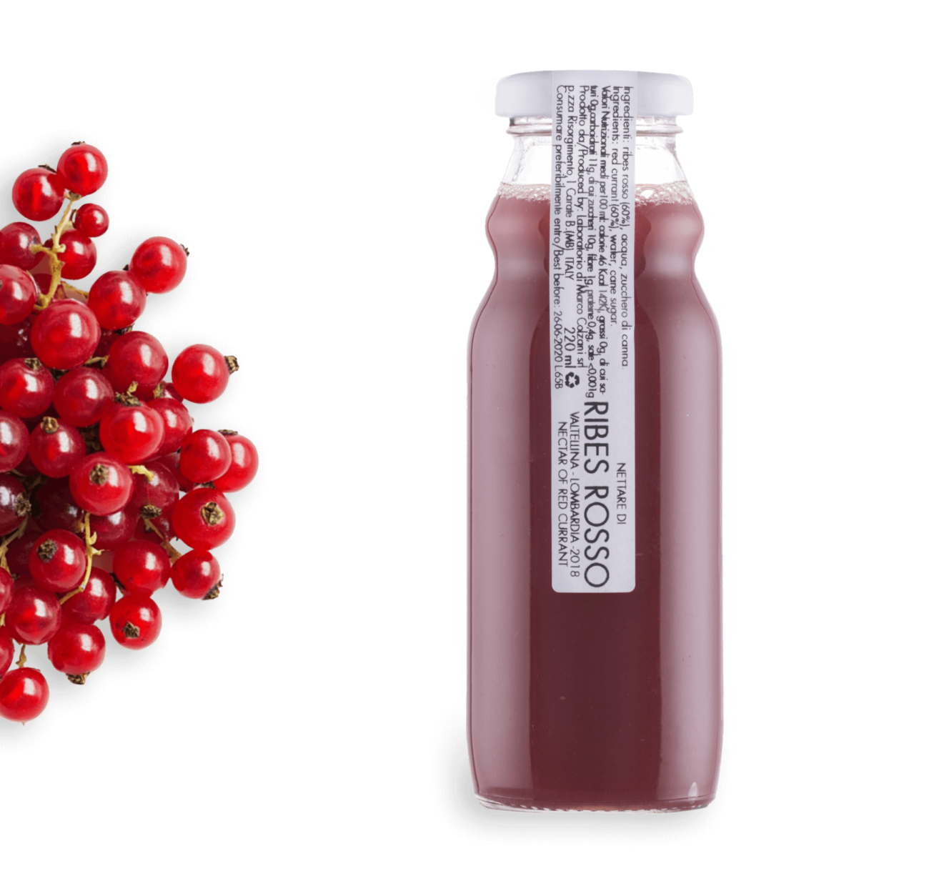 Ribes Rosso - immagine 2