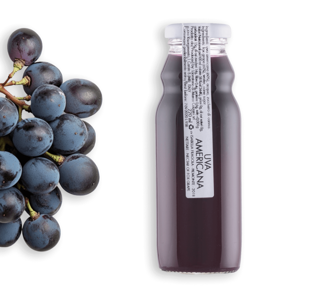 Uva Americana Piemonte - immagine 2