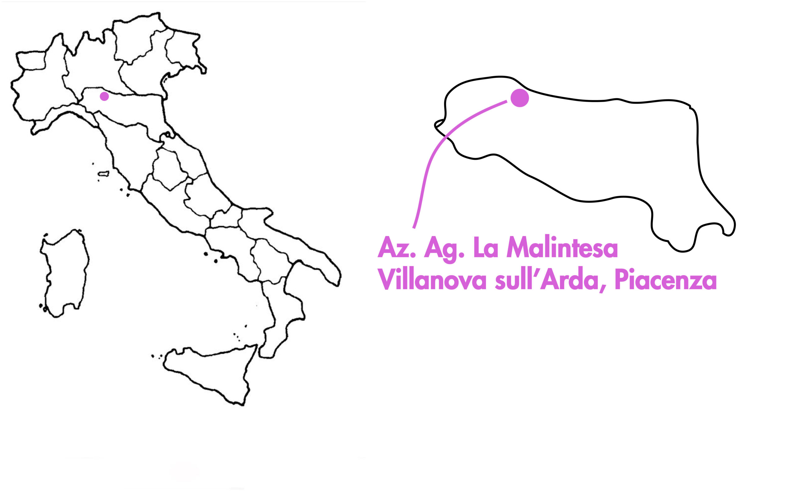 Immagine Italia e regioni - pesca bianca