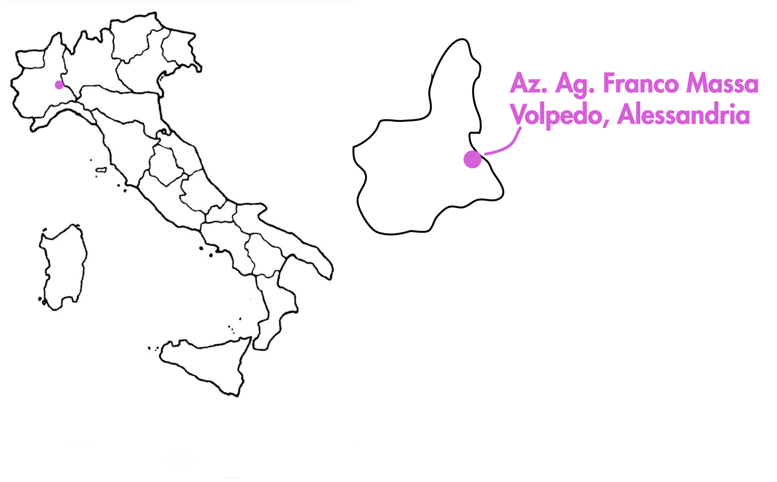 Immagine Italia e regioni - pesca gialla